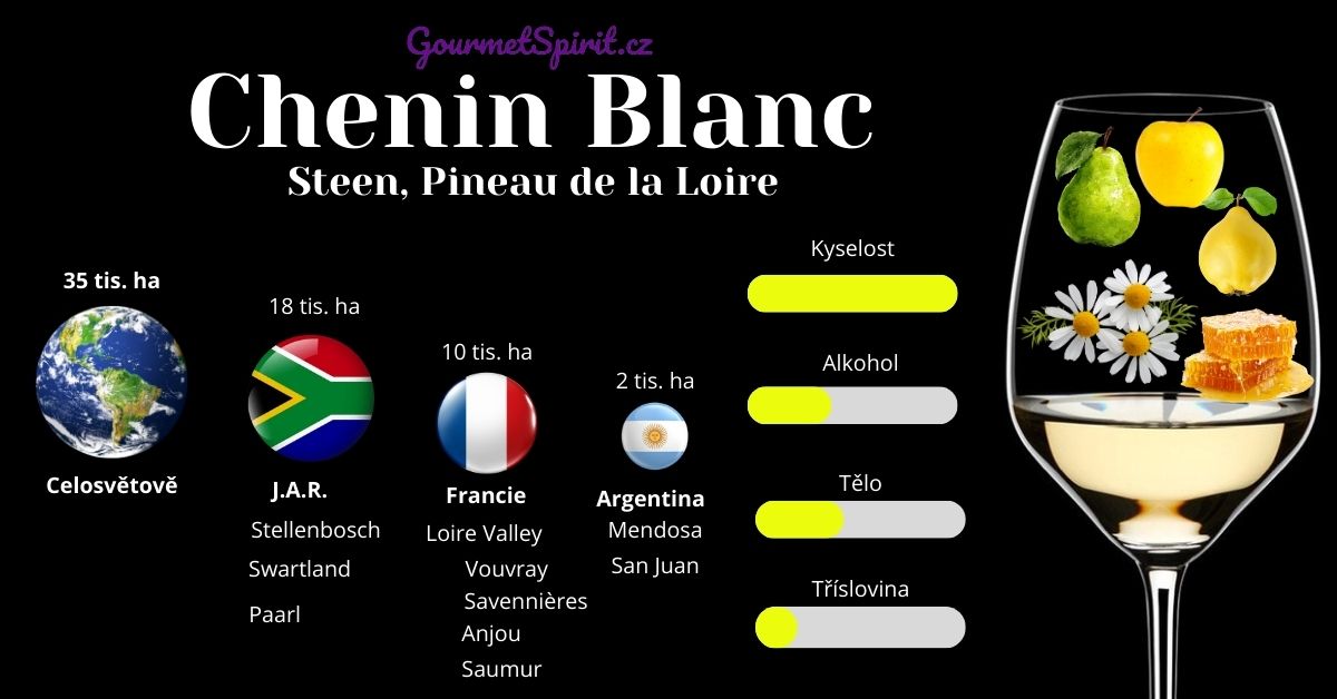 Infografika chenin Blanc podle gourmetSpirit.cz