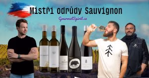 Nejlepší Sauvignon Blanc Česka - Mistři odrůdy podle GoufmetSpirit.cz