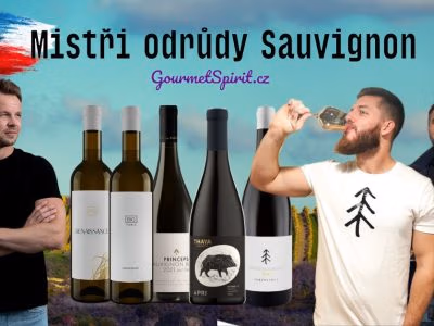Nejlepší Sauvignon Blanc Česka - Mistři odrůdy podle GoufmetSpirit.cz