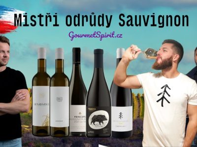 Nejlepší Sauvignon Blanc Česka - Mistři odrůdy podle GoufmetSpirit.cz