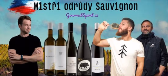 Nejlepší Sauvignon Blanc Česka - Mistři odrůdy podle GoufmetSpirit.cz