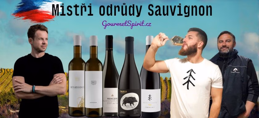 Nejlepší Sauvignon Blanc Česka - Mistři odrůdy podle GoufmetSpirit.cz