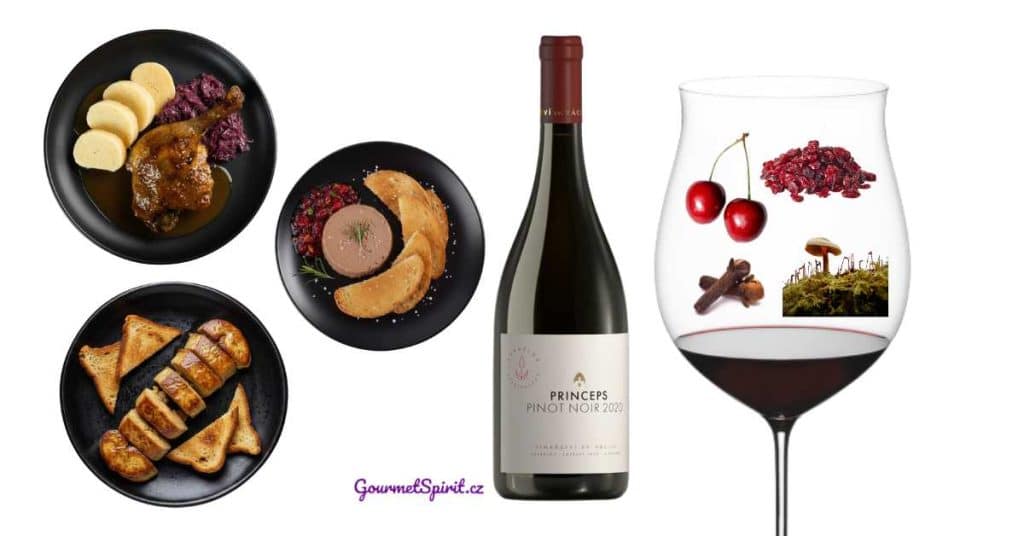 Vinařství Václav Pinot noir Princeps 2022 | Gourmetspirit.cz