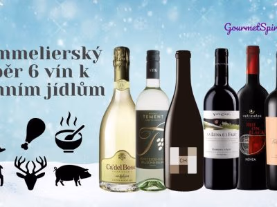 vína k zimní kuchyni podle Gourmetspirit.cz