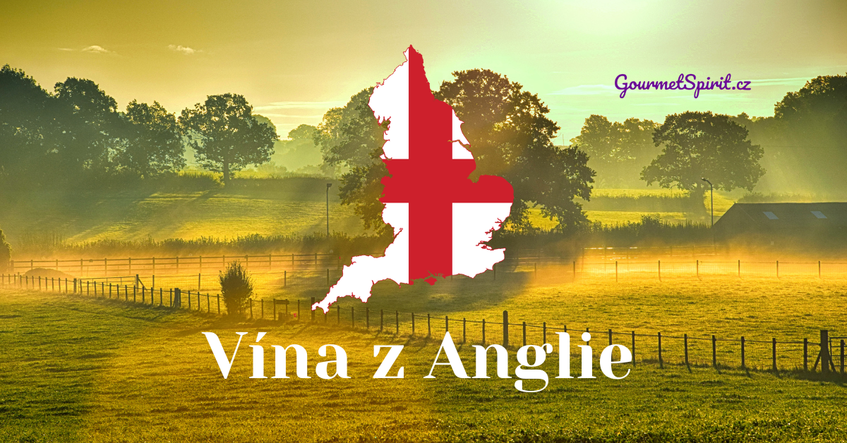 Vína z Anglie na GourmetSpirit.cz