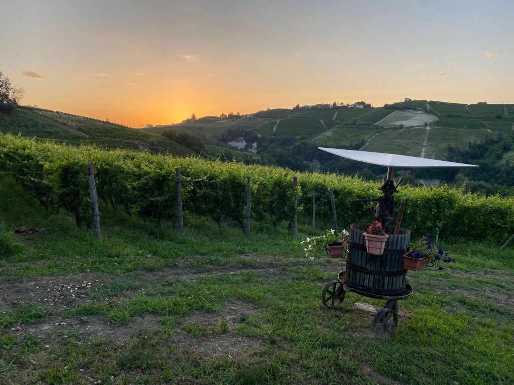 CADGAL | Vinice | GourmeSpirit.cz