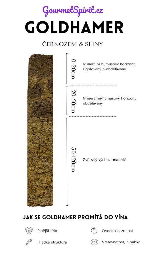 Trať Goldhamer a vliv na víno | Infografika na GourmetSpirit.cz