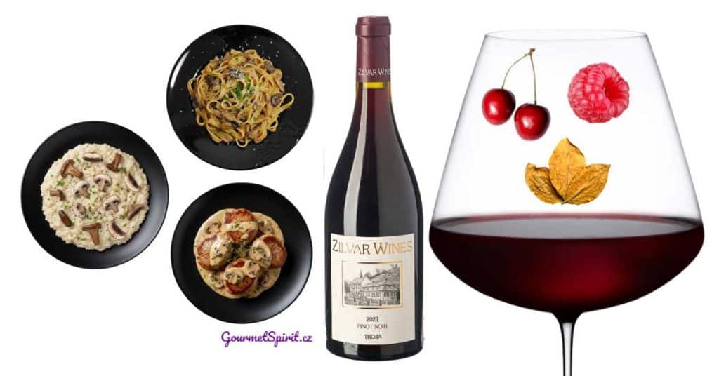 Zilvar Pinot Noir 2021 | Párování s houbami | Podzimní vína | GourmetSpirit.cz